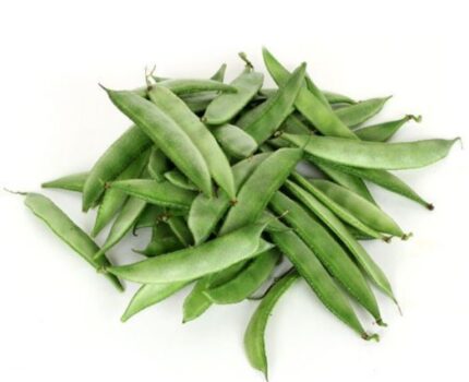 BEANS BROAD