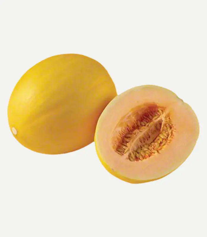 Canary Melon-WS-1WP