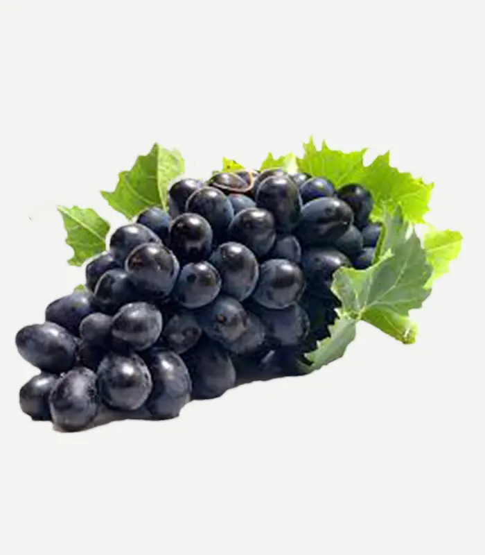 Grapes Black-WS-1WP