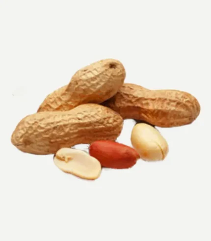 Ground Nuts (Peanuts)