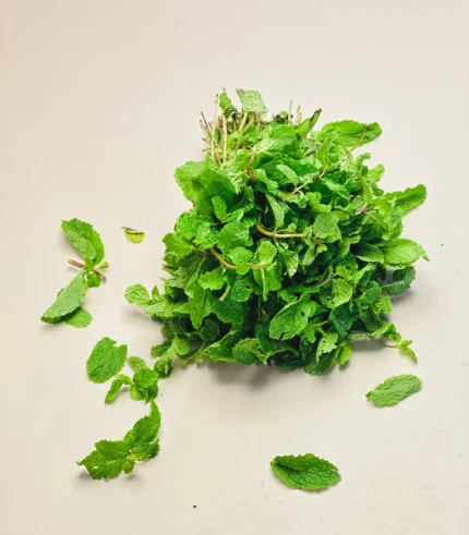 Mint Leaves-Pudina