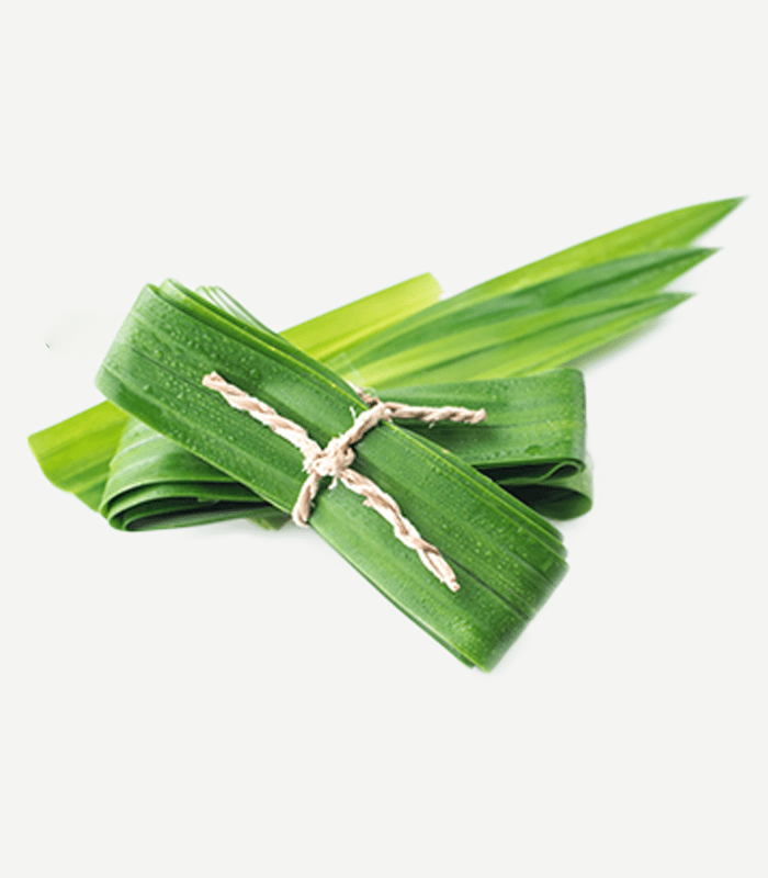 Pandan Leaves-WS-1