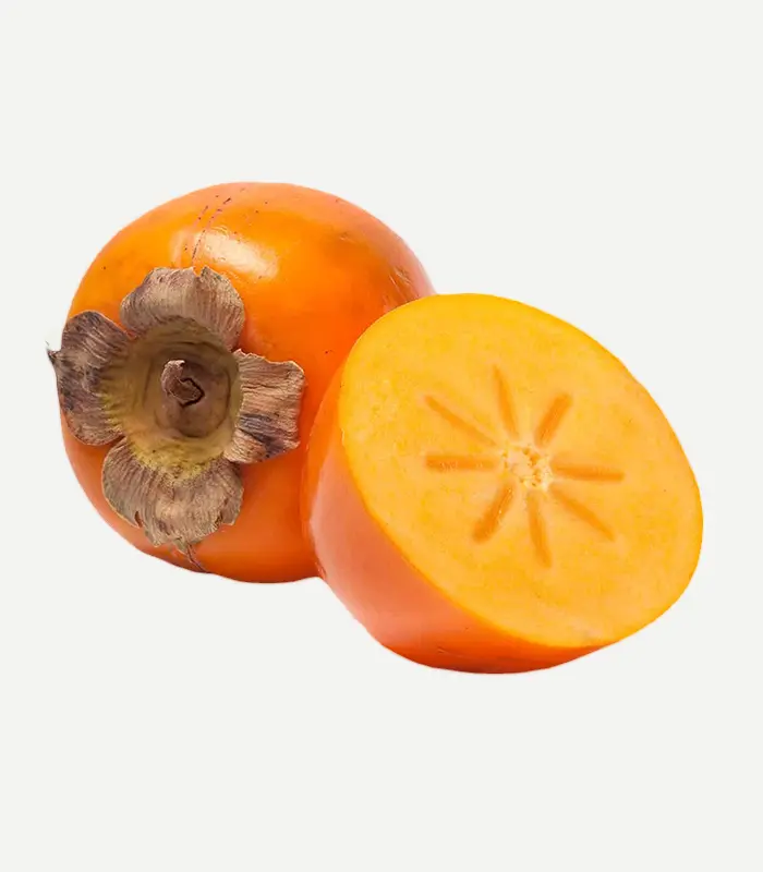 Persimmon-WS-1WP