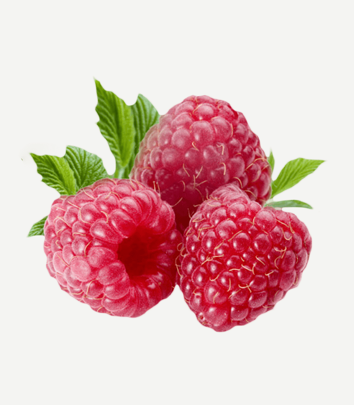 Raspberry-WS-2 Fresh Plums Online in Bengaluru
