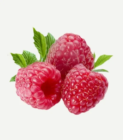 RASPBERRY
