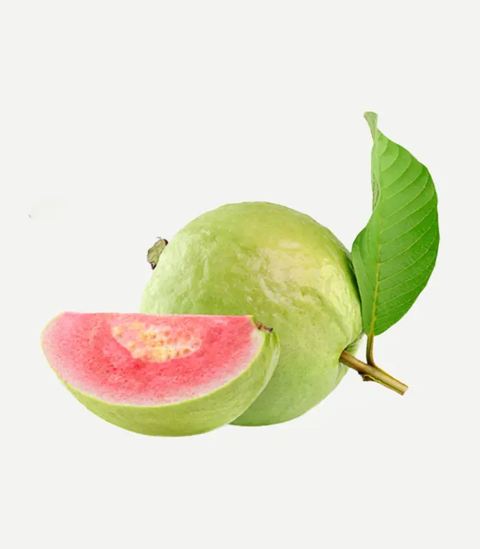 Red Guava-WS-1WP