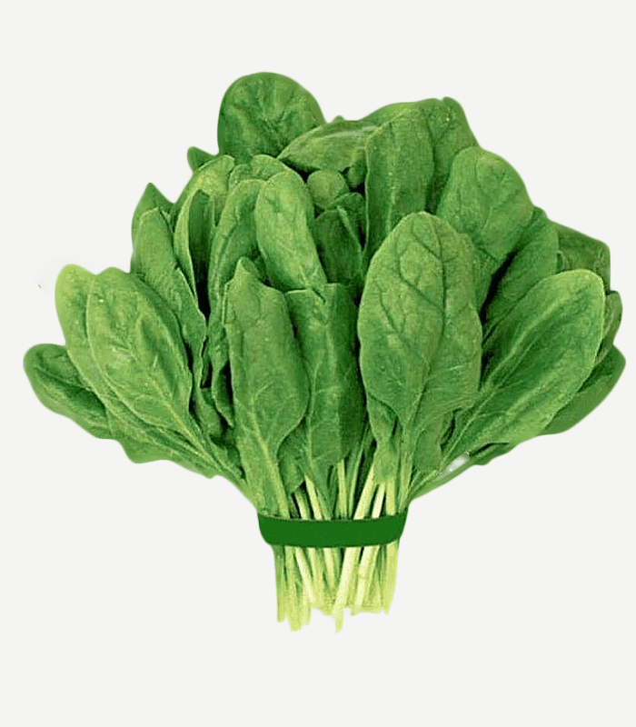 Spinach-leaves-WS-3