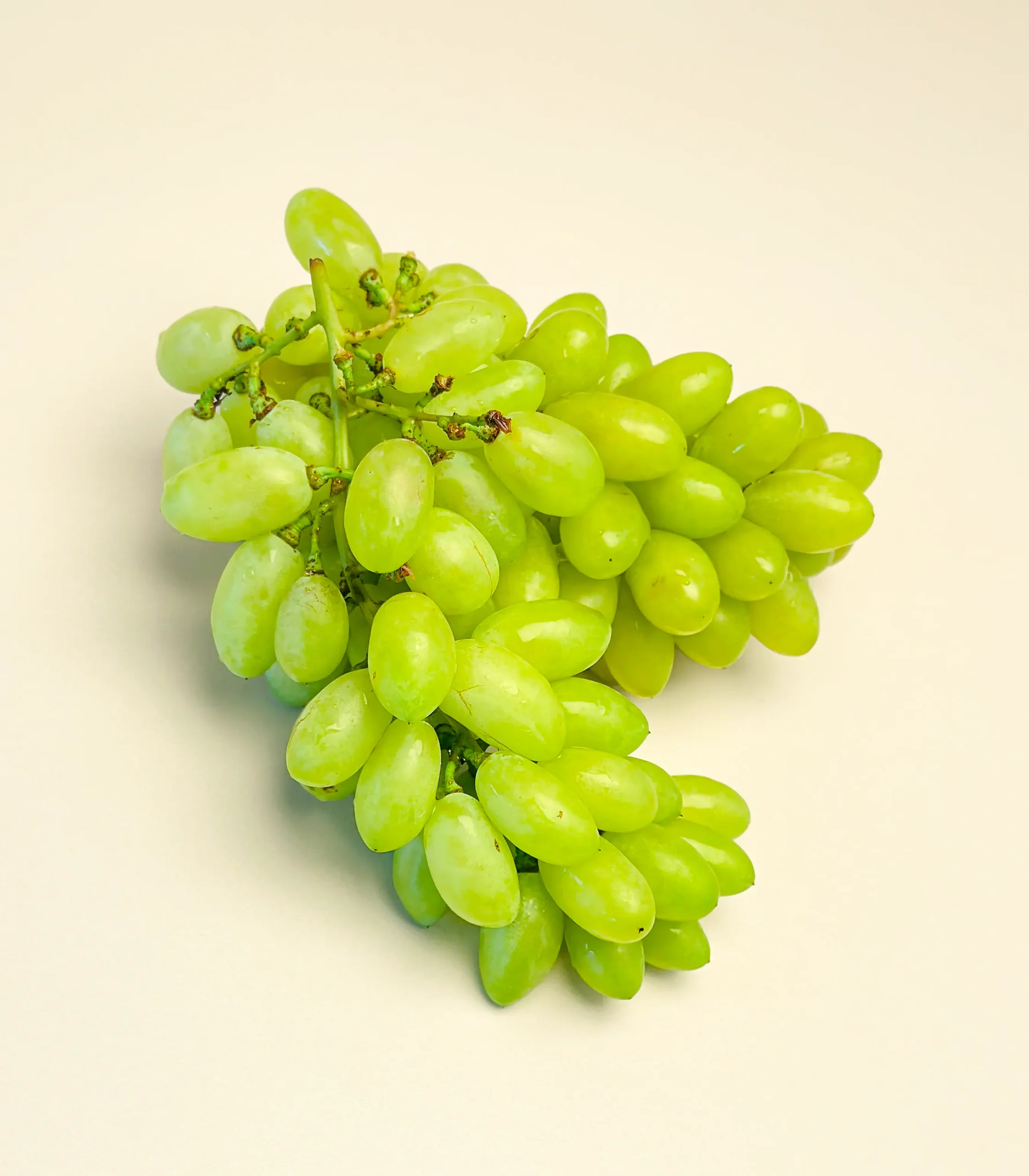 greengrapes@1 (1 of 3)
