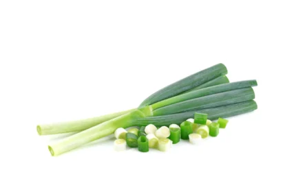 Leek