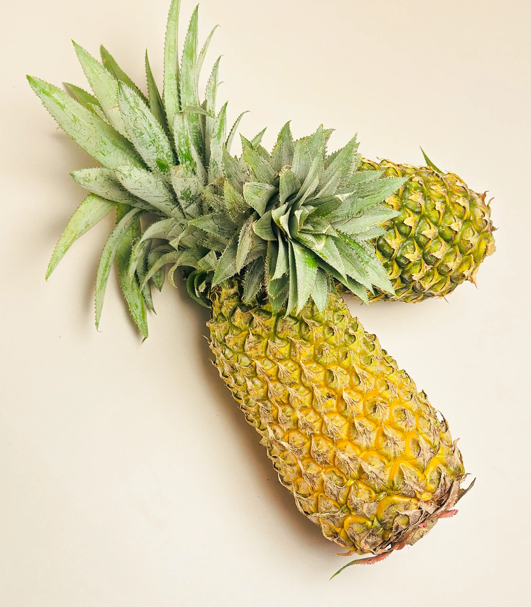 pienapple@1 (1 of 3)