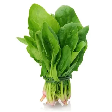 SPINACH (PALAK)