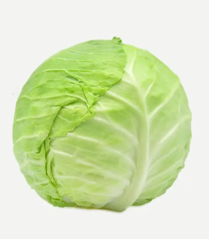 Cabbage-WS-4WP