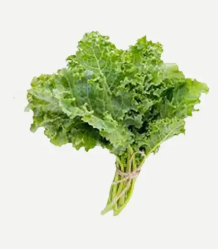Kale Curly