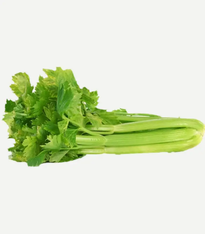 Celery-WS-1WP