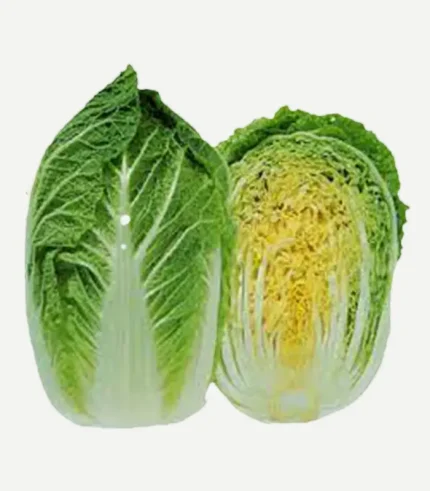 Chinese Cabbage-Chinese Patta Gobhi