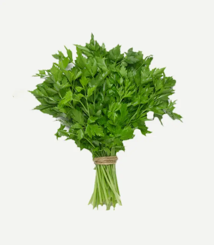 Parsley-WS-1WP