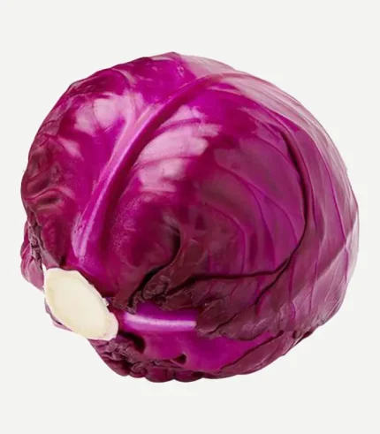 Cabbage Red-Patta Gobhi