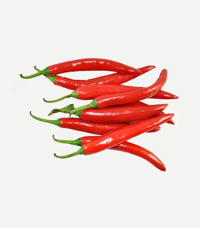 Red Chilli-WS-4WP