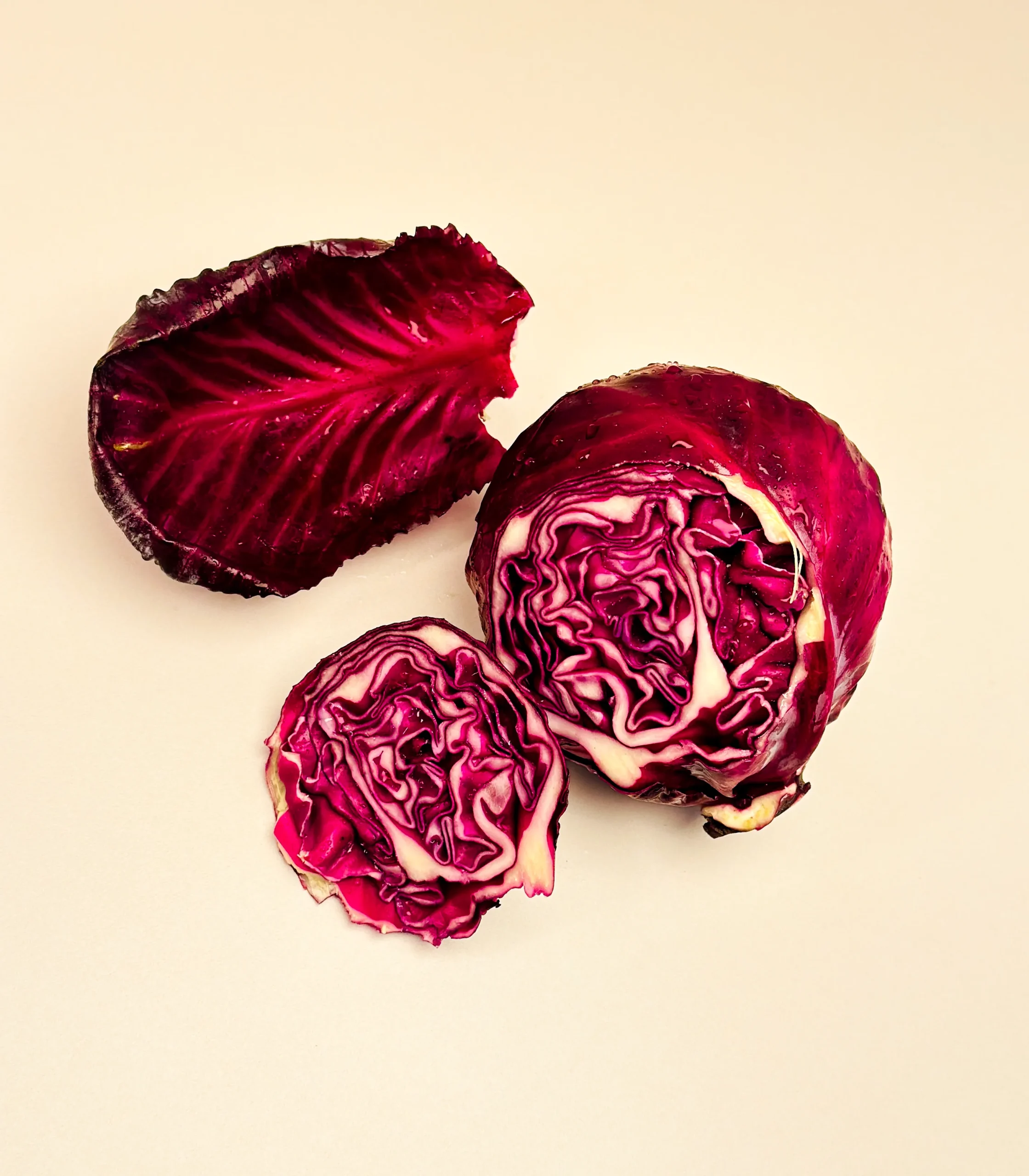 Red cabbage@1 (web 2)