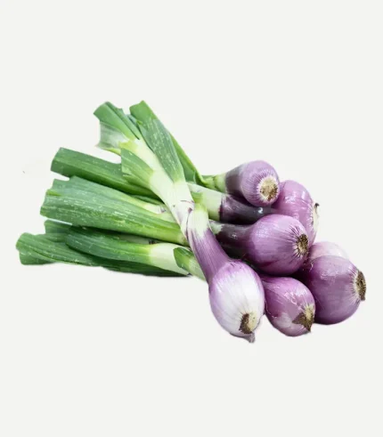 Spring Onion-Hara Pyaz