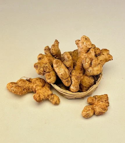 Ginger-Adrak