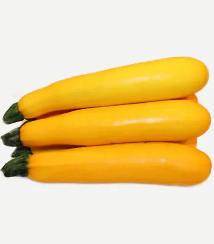 Zucchini Yellow