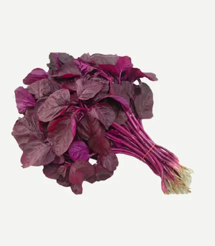 Amaranthus Red-Choulai Saag