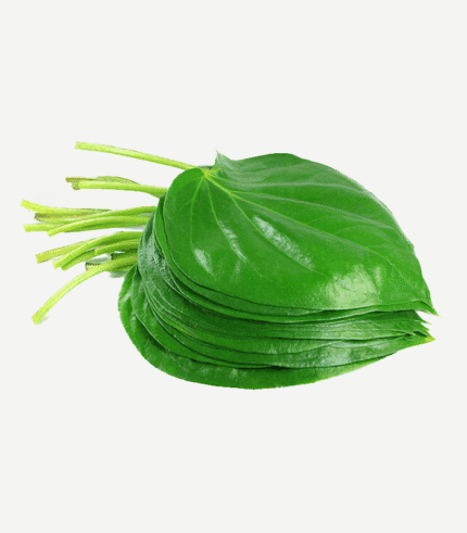 Betel Leaves-Paan