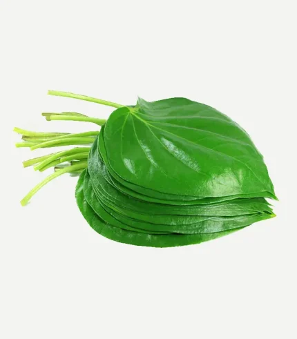 Betel Leaves-Paan