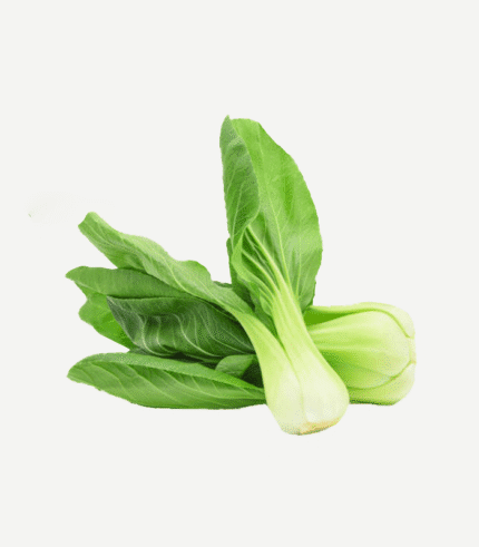 Bok Choy