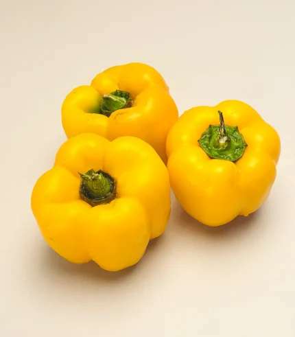 Capsicum/Bell Pepper Yellow (Shimla Mirch)