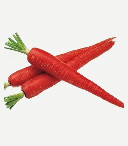 Carrot Red-Gajar
