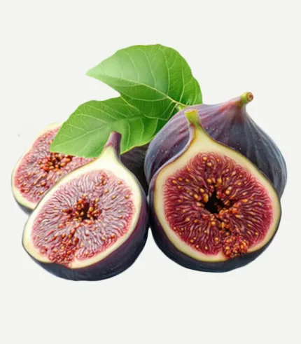Fig Fresh-Anjeer