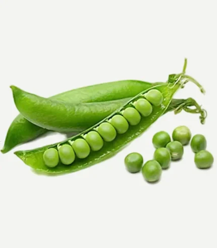 Green Peas-Hari Matar (Farm)