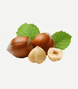 Hazlenut