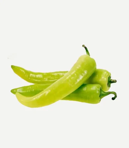 Picador Green -Bajji Chilli