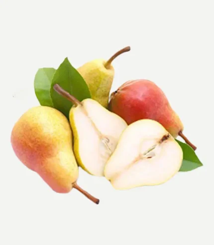 Golden Pear