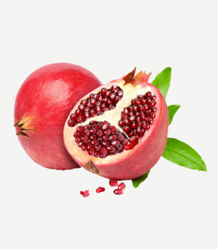 Pomegranate-(Regular)