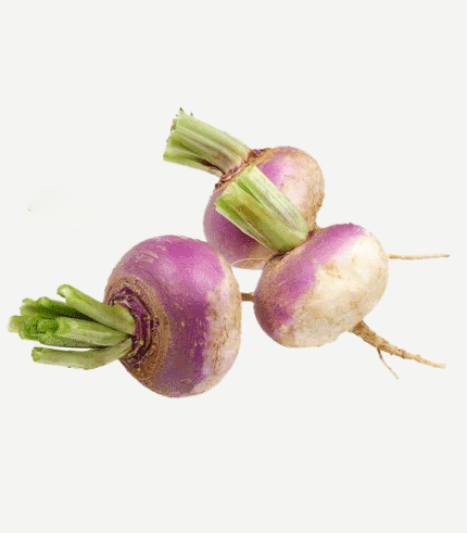 Turnip (Shaljam)