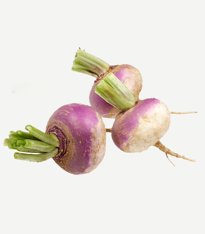 Turnip-WS-2