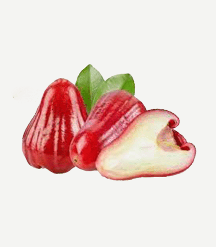 Buy Wax Apple online in Bengaluru