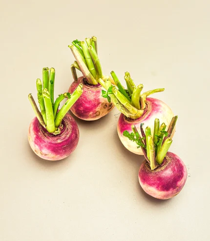 Turnip (Shaljam)