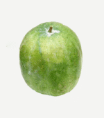 Order Whole Ash Gourd Online in Bengaluru