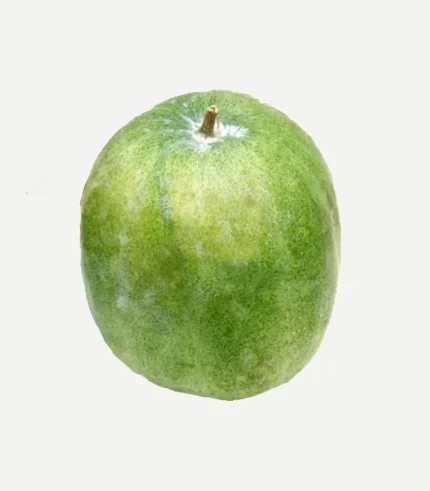 Ash Gourd-Petha (Whole)