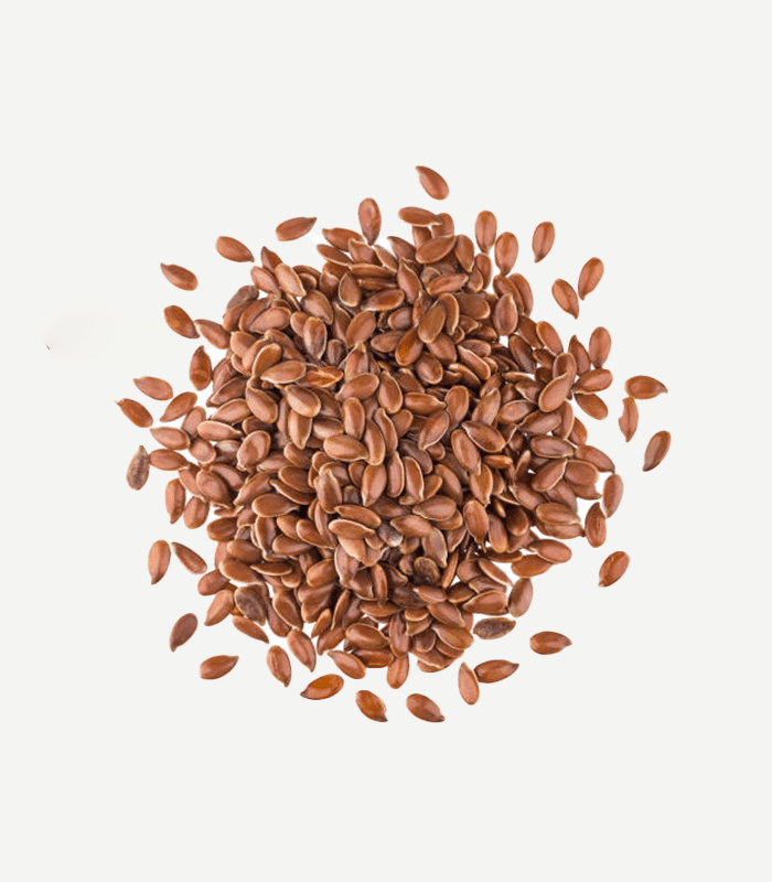 Flax SeedsWS-3
