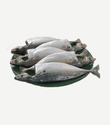 Bangda Mackerel Whole Cleaned Fish Online in Bengaluru