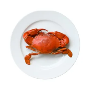 Crab